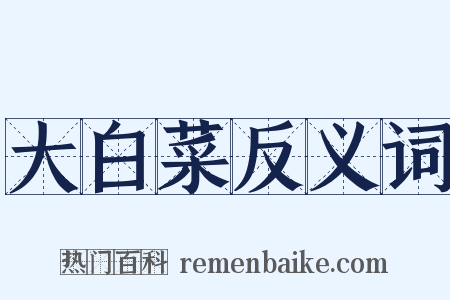 大白菜反义词是什么意思的图片